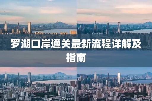 罗湖口岸通关最新流程详解及指南