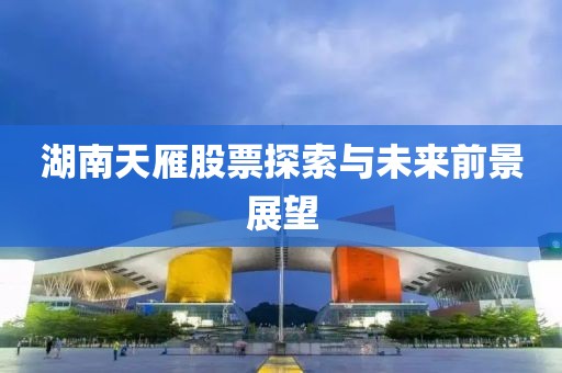 湖南天雁股票探索与未来前景展望