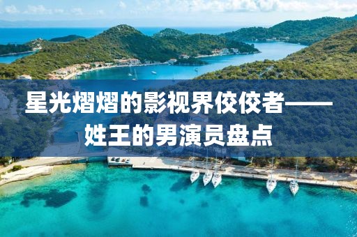 星光熠熠的影视界佼佼者——姓王的男演员盘点