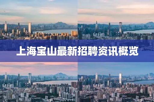 上海宝山最新招聘资讯概览