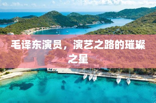 毛译东演员，演艺之路的璀璨之星