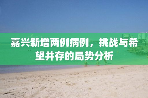嘉兴新增两例病例，挑战与希望并存的局势分析