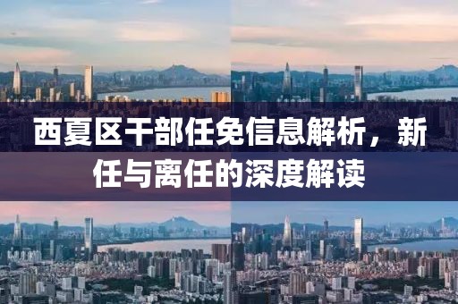 西夏区干部任免信息解析，新任与离任的深度解读