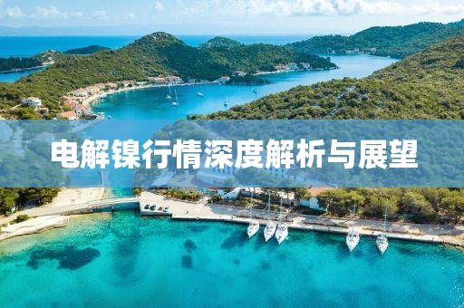 电解镍行情深度解析与展望