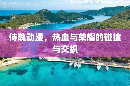 侍魂动漫，热血与荣耀的碰撞与交织