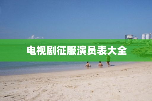 电视剧征服演员表大全