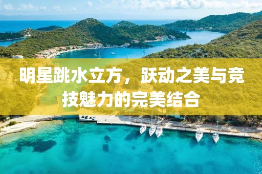 明星跳水立方，跃动之美与竞技魅力的完美结合