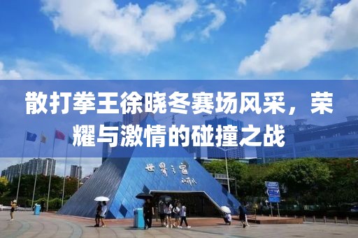 散打拳王徐晓冬赛场风采，荣耀与激情的碰撞之战