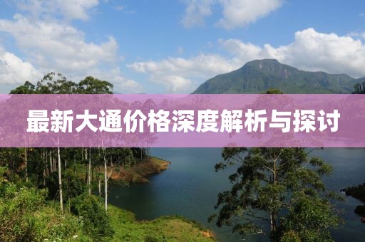 最新大通价格深度解析与探讨