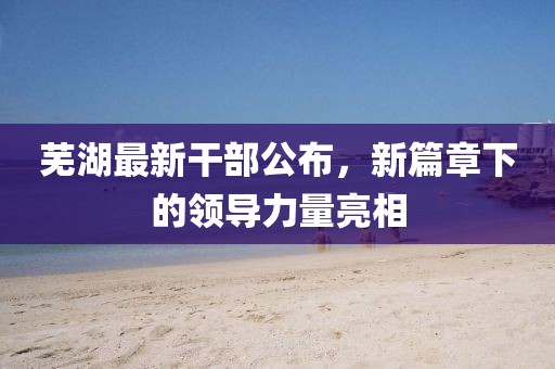 芜湖最新干部公布，新篇章下的领导力量亮相
