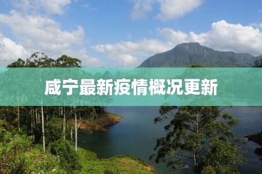 咸宁最新疫情概况更新