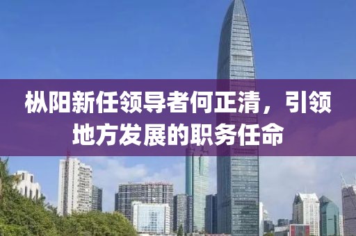 枞阳新任领导者何正清，引领地方发展的职务任命