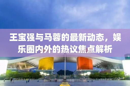 王宝强与马蓉的最新动态，娱乐圈内外的热议焦点解析