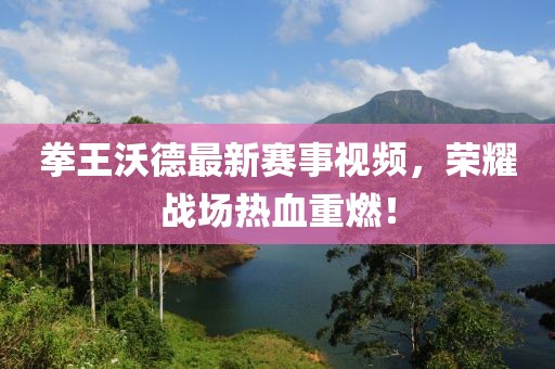 拳王沃德最新赛事视频，荣耀战场热血重燃！