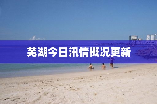 芜湖今日汛情概况更新