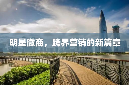 明星微商，跨界营销的新篇章