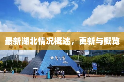 最新湖北情况概述，更新与概览