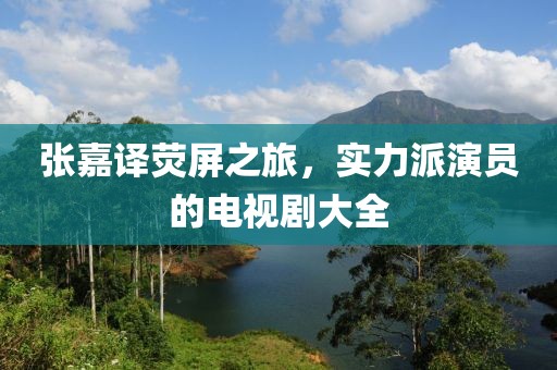 张嘉译荧屏之旅，实力派演员的电视剧大全