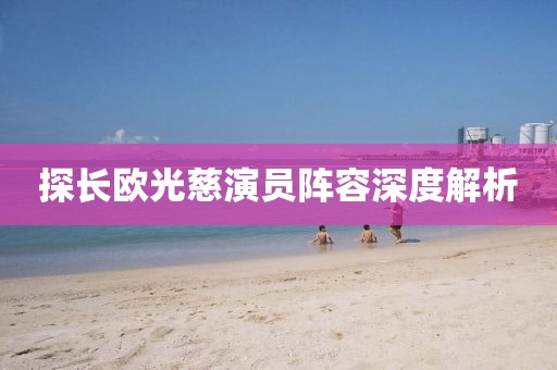 探长欧光慈演员阵容深度解析