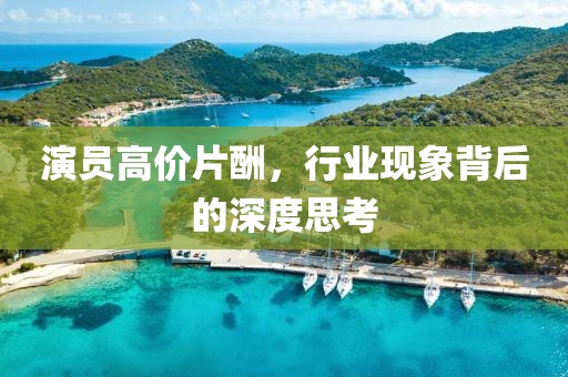 演员高价片酬，行业现象背后的深度思考