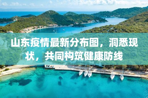山东疫情最新分布图，洞悉现状，共同构筑健康防线