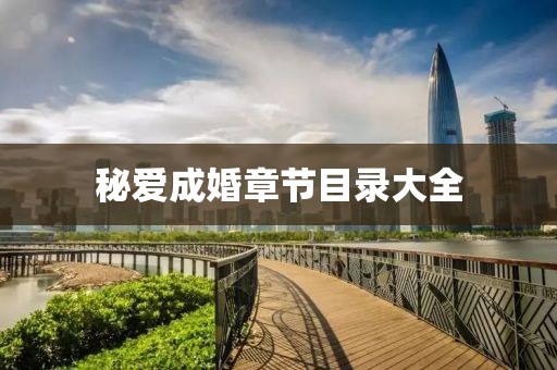秘爱成婚章节目录大全
