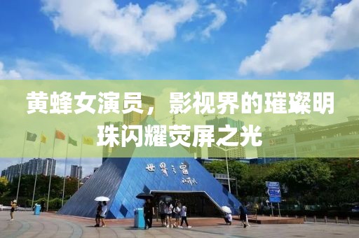 黄蜂女演员，影视界的璀璨明珠闪耀荧屏之光