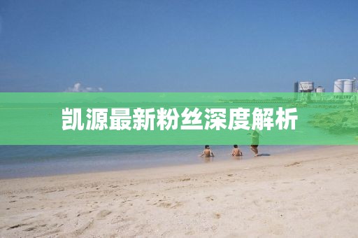 凯源最新粉丝深度解析