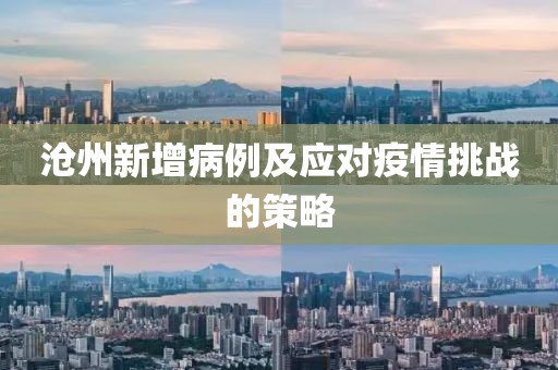 沧州新增病例及应对疫情挑战的策略