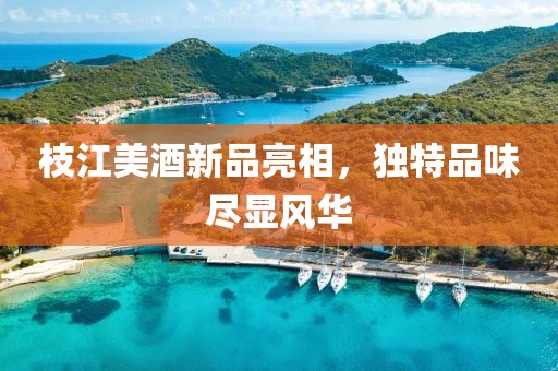 枝江美酒新品亮相，独特品味尽显风华
