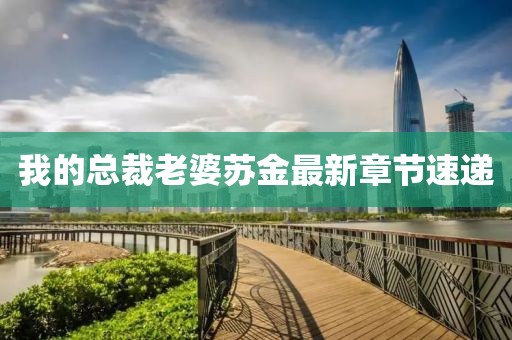 我的总裁老婆苏金最新章节速递