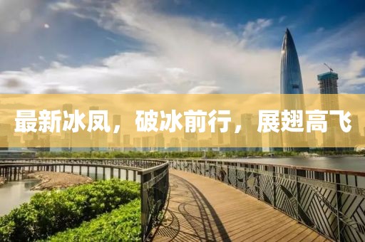 最新冰凤，破冰前行，展翅高飞
