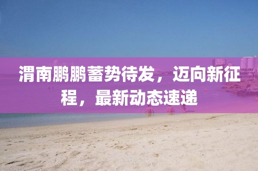 渭南鹏鹏蓄势待发，迈向新征程，最新动态速递