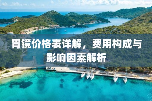 胃镜价格表详解，费用构成与影响因素解析