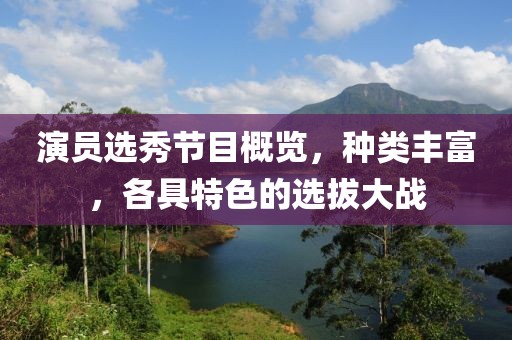 演员选秀节目概览，种类丰富，各具特色的选拔大战