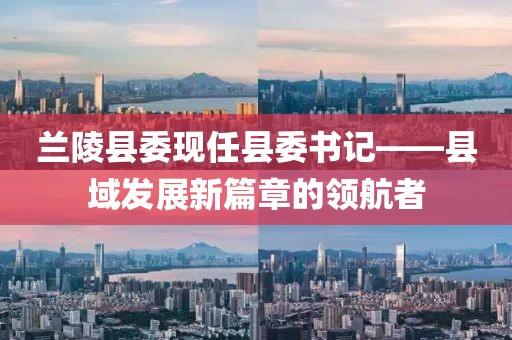 兰陵县委现任县委书记——县域发展新篇章的领航者