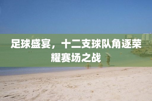 足球盛宴，十二支球队角逐荣耀赛场之战