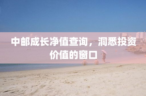中邮成长净值查询，洞悉投资价值的窗口
