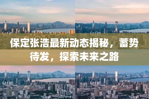 保定张浩最新动态揭秘，蓄势待发，探索未来之路
