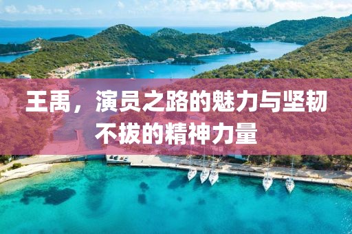 王禹，演员之路的魅力与坚韧不拔的精神力量