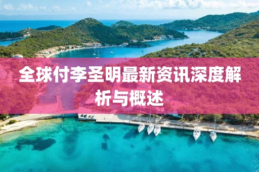全球付李圣明最新资讯深度解析与概述