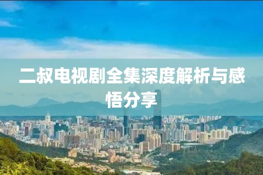 二叔电视剧全集深度解析与感悟分享