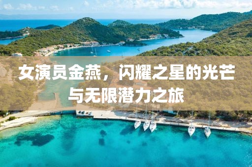 女演员金燕，闪耀之星的光芒与无限潜力之旅