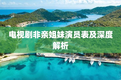电视剧非亲姐妹演员表及深度解析