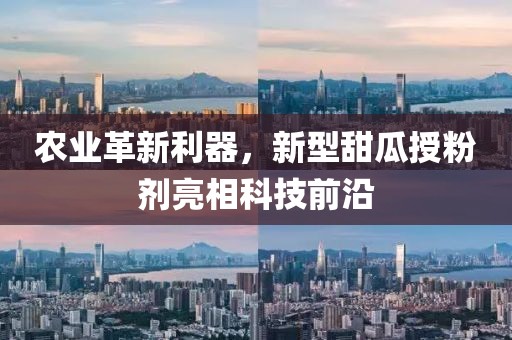 农业革新利器，新型甜瓜授粉剂亮相科技前沿