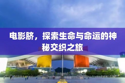 电影脐，探索生命与命运的神秘交织之旅