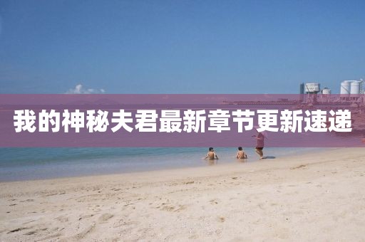 我的神秘夫君最新章节更新速递