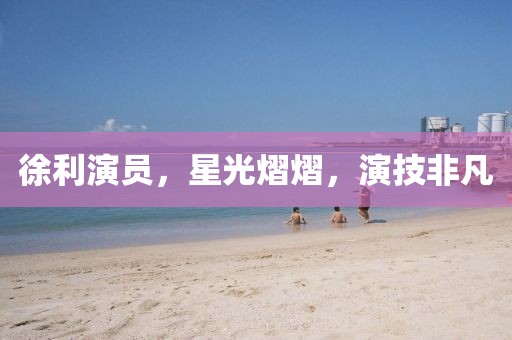 徐利演员，星光熠熠，演技非凡