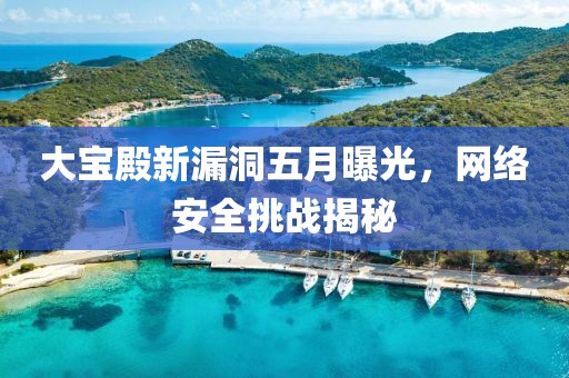 大宝殿新漏洞五月曝光，网络安全挑战揭秘