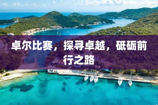 卓尔比赛，探寻卓越，砥砺前行之路
